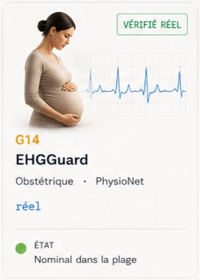 EHGGuard (G14)